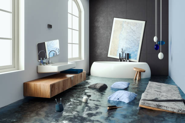 Best Professional water damage repair  in New Baltimore, VA