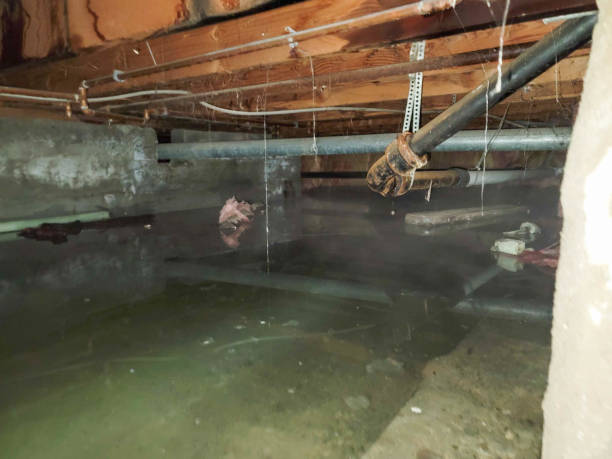 Water damage restoration insurance claims in VA