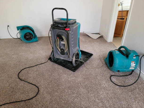 Best Mold removal after water damage  in New Baltimore, VA