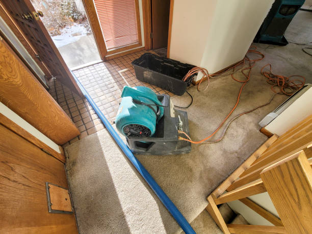  New Baltimore, VA Water damage restoration Pros