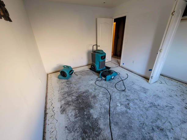 Best Fire Damage Restoration  in New Baltimore, VA