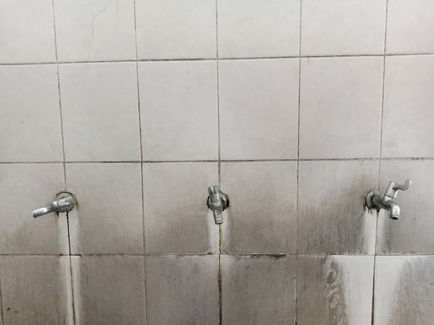 Best Carpet water damage restoration  in New Baltimore, VA