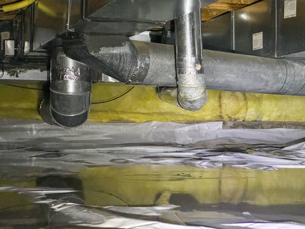 Best Flood restoration services  in New Baltimore, VA