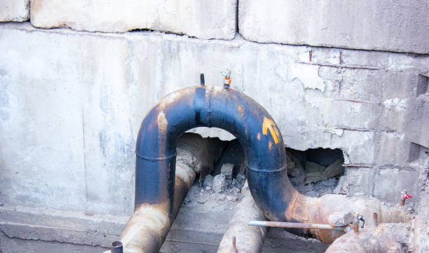 Best Mold removal after water damage  in New Baltimore, VA