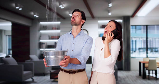Best Basement water damage restoration  in New Baltimore, VA